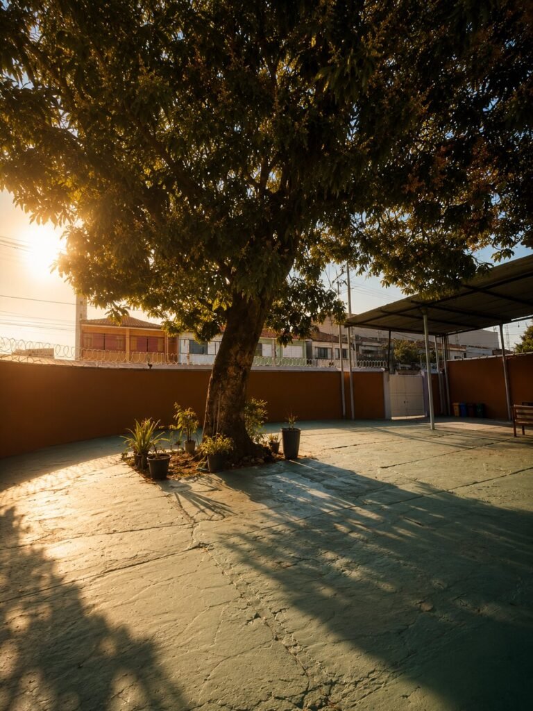 Pátio do Residencial Plenitude Sênior ao entardecer, com uma mangueira grande dando sombra e vasos de plantas junto ao tronco